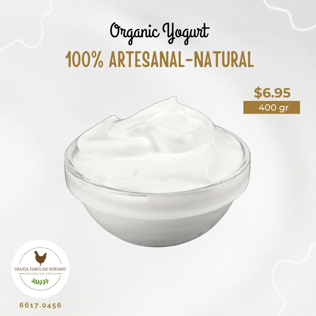Organic Yogurt - Artesanal Natural