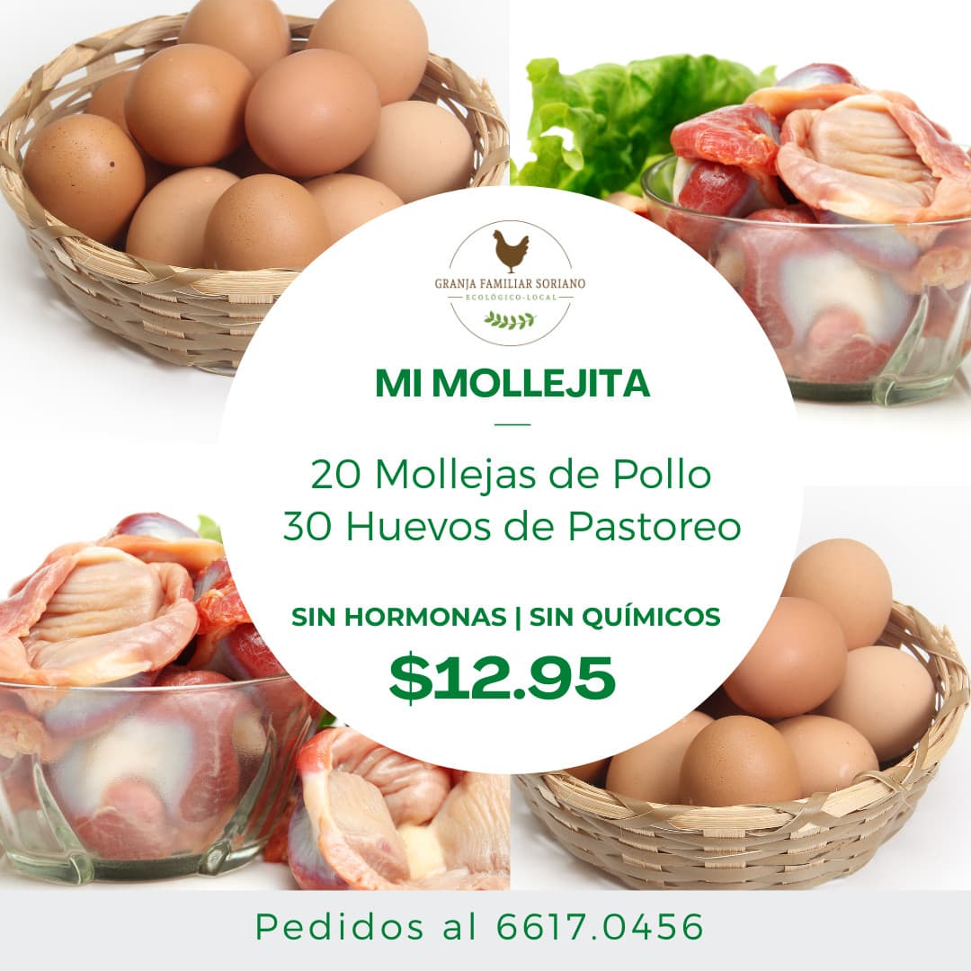 Combo Mi Mollejita