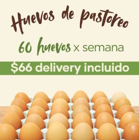 Suscripcion 60 Huevos Delivery incluido Semanales x 4 entregas