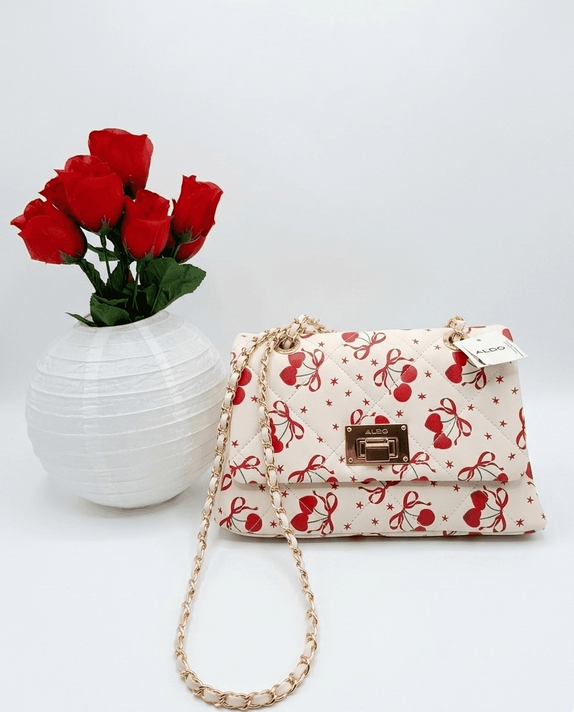 Cartera ALDO