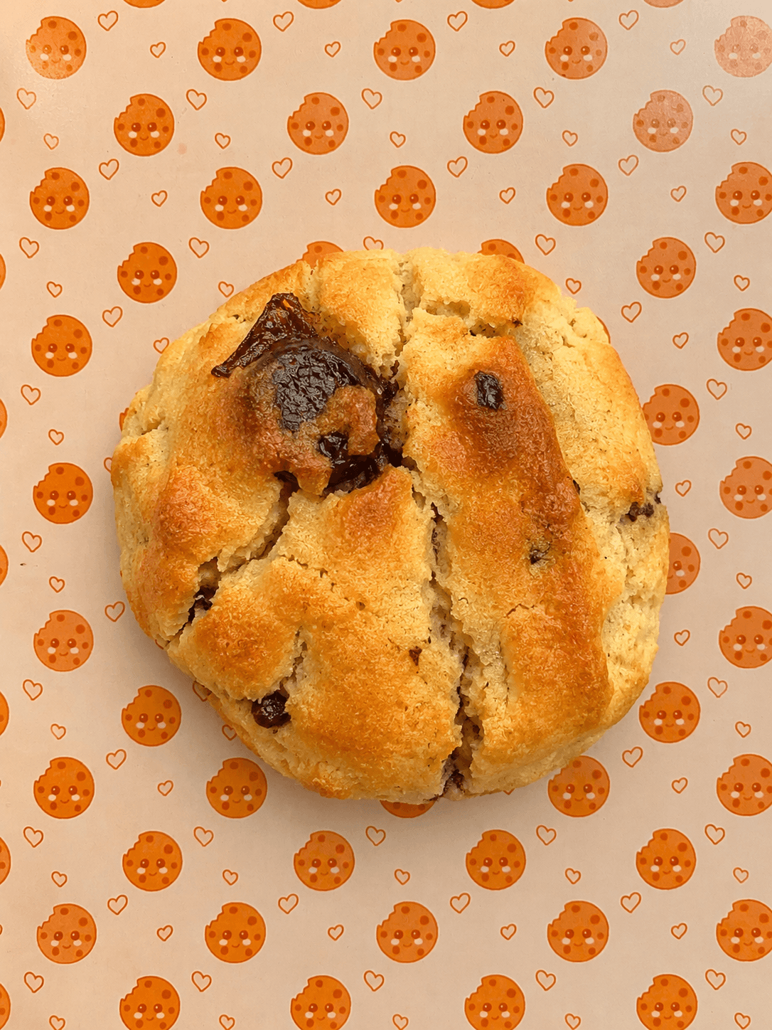 Vainilla + Doble Chocolate Negro