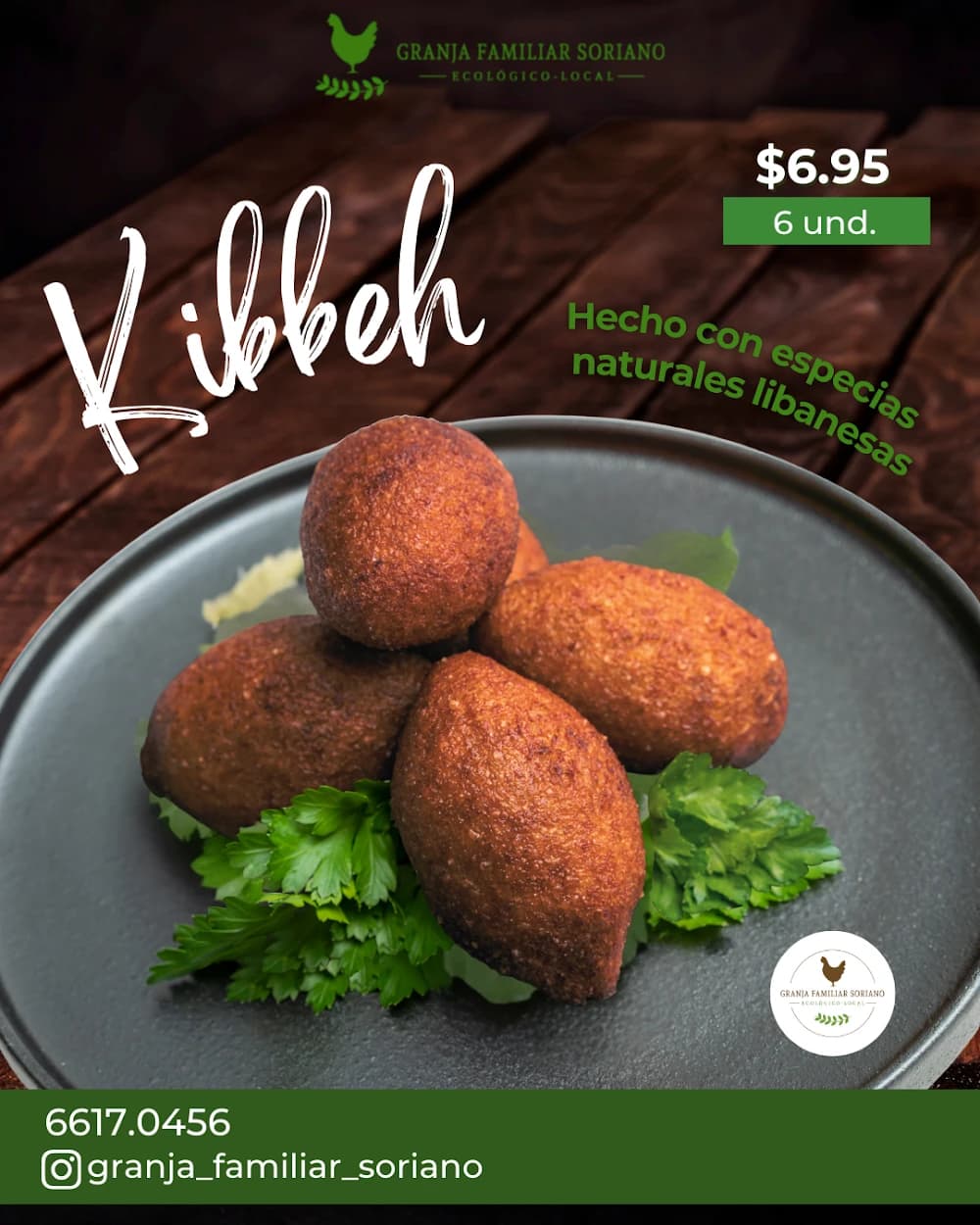 Kibbeh "Carne de Res & Especias libanesas naturales"