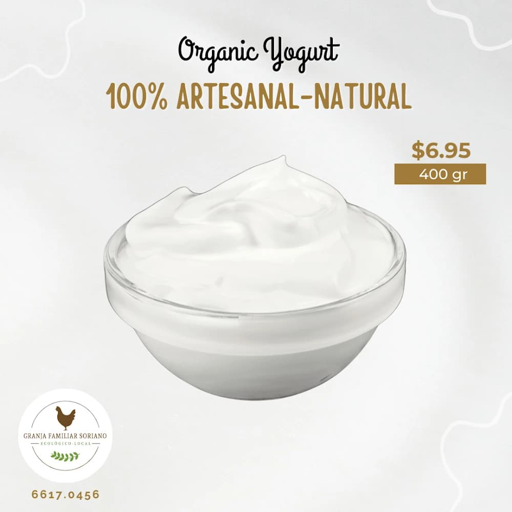 Organic Yogurt - Artesanal Natural