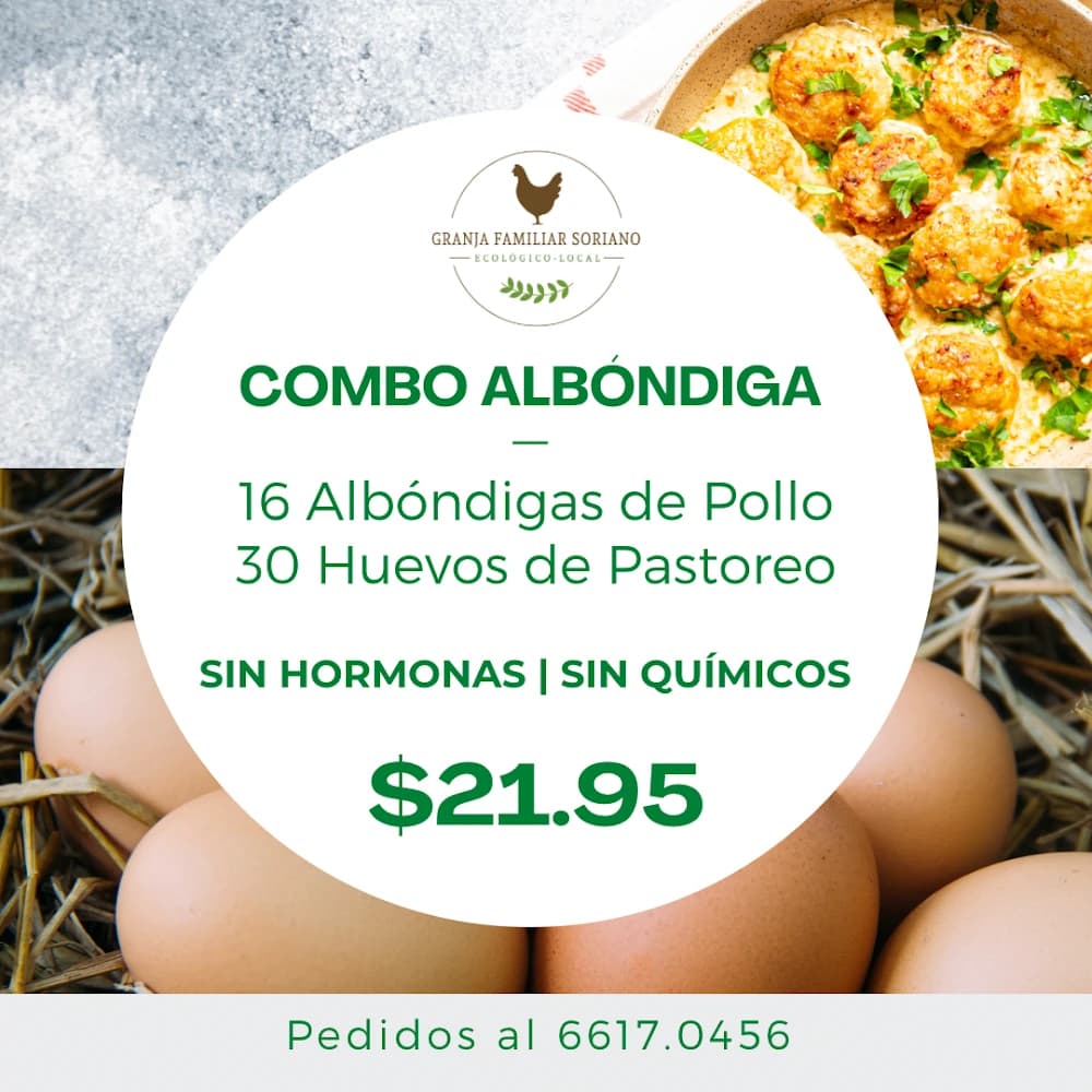 Combo Albóndiga