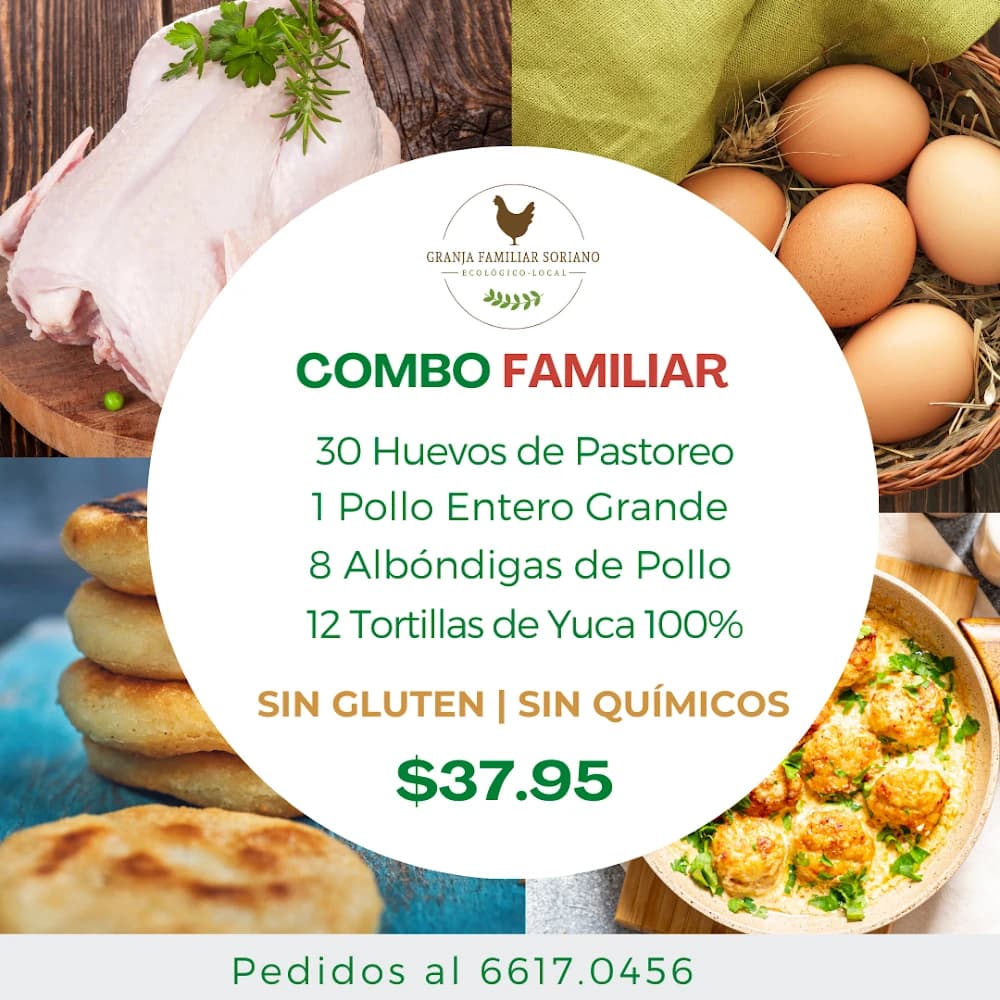 Combo Familiar