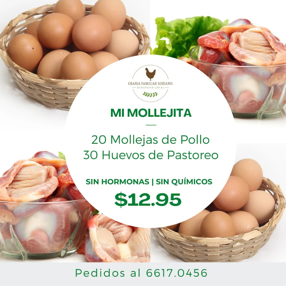Combo Mi Mollejita