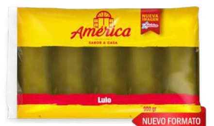 Pulpa de Lulo América