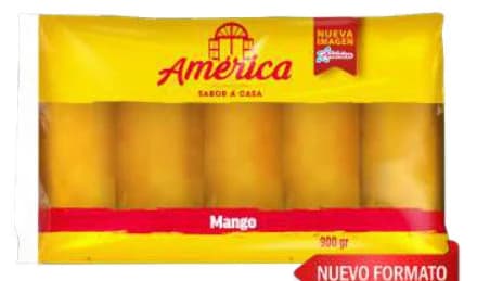 Pulpa de Mango América