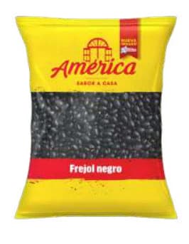 Frejol Negro América