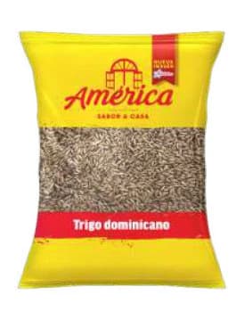 Trigo de República Dominicana América