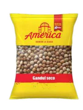 Gandul Seco América