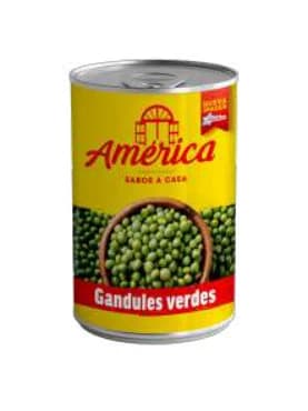 Gandul América